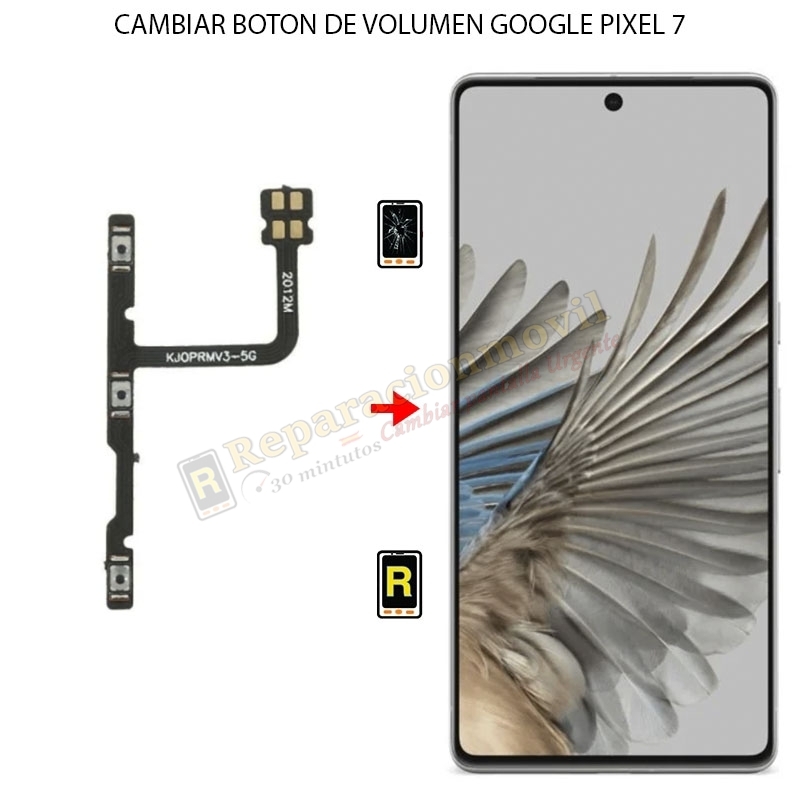 Cambiar Botón De Volumen Google Pixel 7