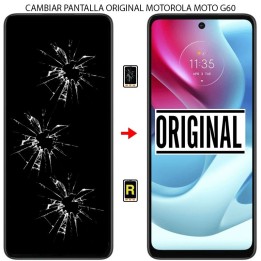 Cambiar Pantalla Motorola Moto G60 ORIGINAL