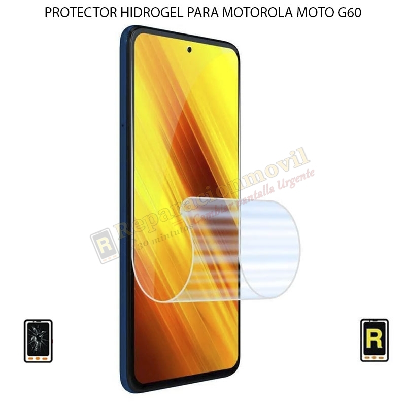 Protector Hidrogel Motorola Moto G60