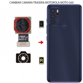 Cambiar Cámara Trasera Motorola Moto G60
