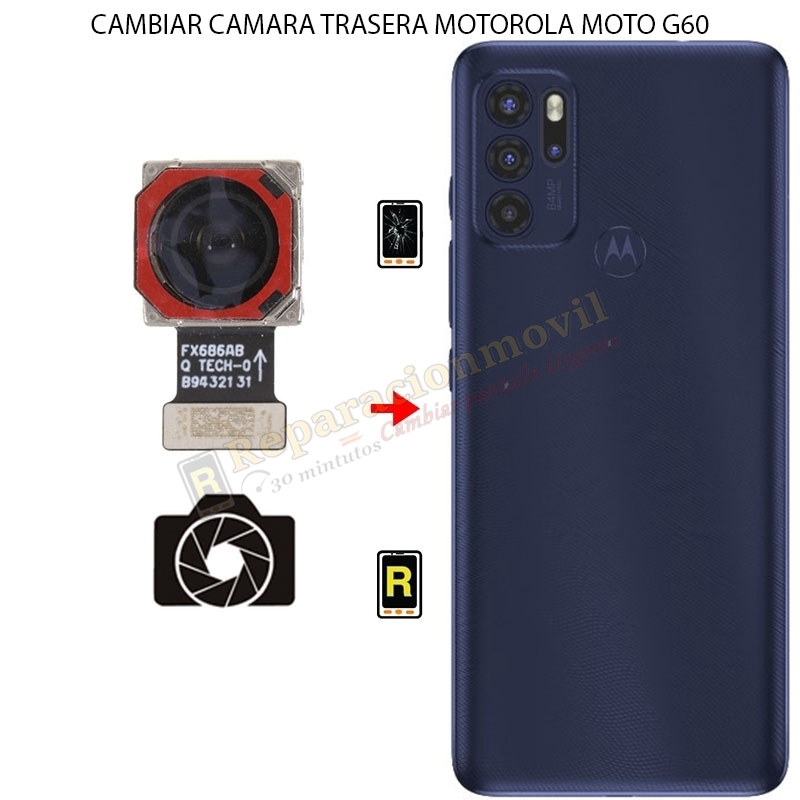 Cambiar Cámara Trasera Motorola Moto G60