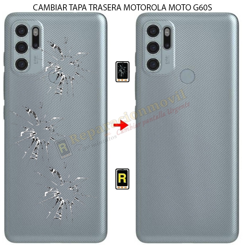 Cambiar Tapa Trasera Motorola Moto G60S