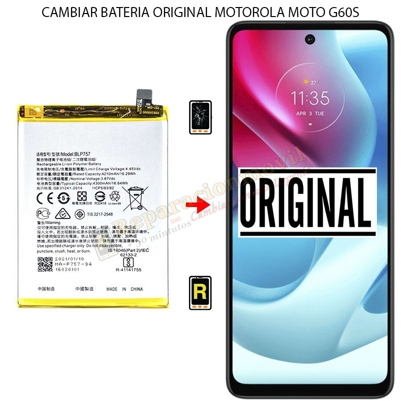 Cambiar Batería Motorola Moto G60S Original