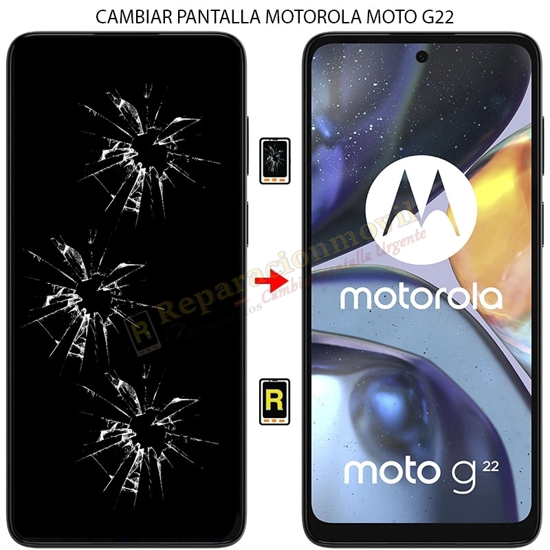 Cambiar Pantalla Motorola Moto G22