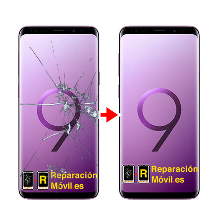 Cambiar Cristal y chassis Samsung S9 Plus