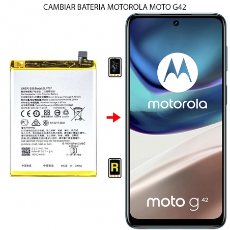 Cambiar Batería Motorola Moto G42
