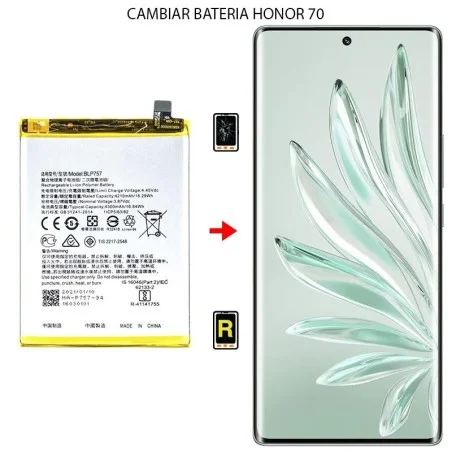 Cambiar Batería Honor 70 5G