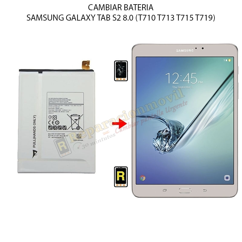 Cambiar Batería Samsung Galaxy Tab S2 8.0
