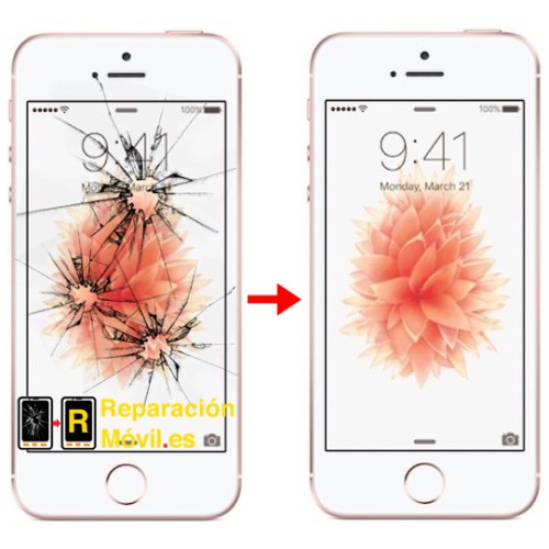 Cambiar pantalla iPhone SE
