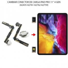 Cambiar Conector De Carga iPad Pro 11 2022