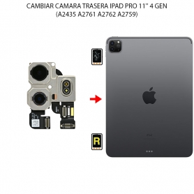Cambiar Cámara Trasera iPad Pro 11 Pulgadas 4.ª Generación (2022)