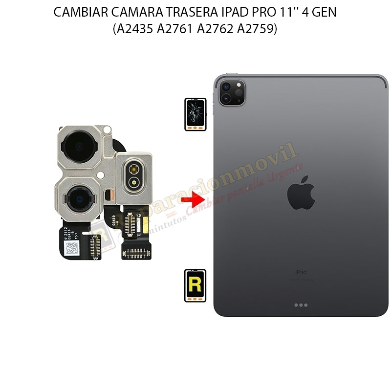 Cambiar Cámara Trasera iPad Pro 11 2022