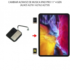 Cambiar Altavoz De Música iPad Pro 11 Pulgadas 4.ª Generación (2022)