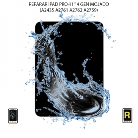 Reparar Mojado iPad Pro 11 Pulgadas 4.ª Generación (2022)