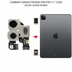 Cambiar Cámara Trasera iPad Pro 11 Pulgadas 3.ª Generación (2021)