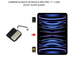 Cambiar Altavoz De Música iPad Pro 11 2021