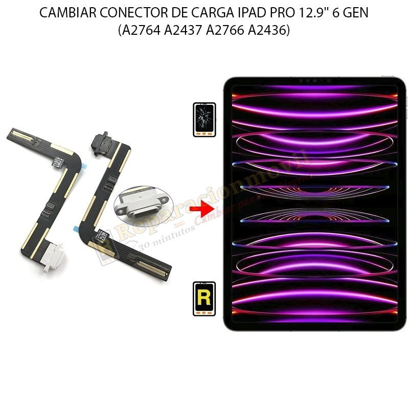 Cambiar Conector De Carga iPad Pro 12.9 2022