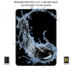 Reparar Mojado iPad Pro 12.9 Pulgadas 6.ª Generación