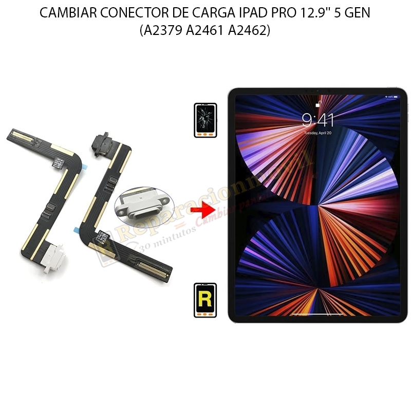 Cambiar Conector De Carga iPad Pro 12.9 2021