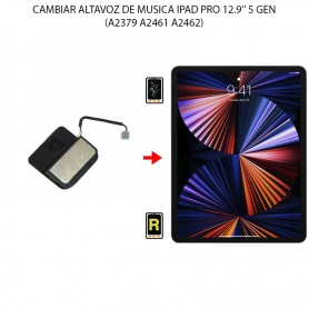 Cambiar Altavoz De Música iPad Pro 12.9 2021