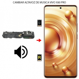 Cambiar Altavoz de Música Vivo X80 Pro