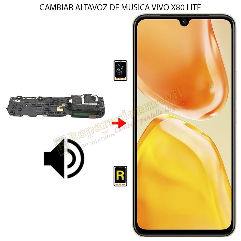 Cambiar Altavoz de Música Vivo X80 Lite