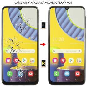 Cambiar Cristal de Pantalla Samsung Galaxy M31