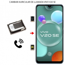 Cambiar Auricular de Llamada Vivo V20 SE