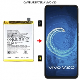 Cambiar Batería Vivo V20