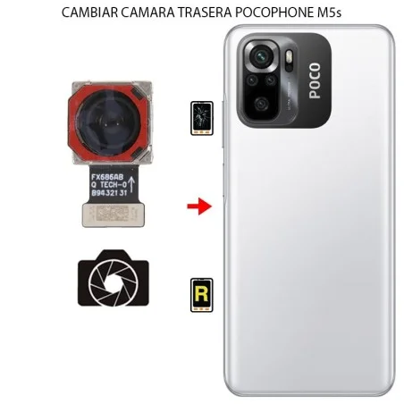 Cambiar Cámara Trasera Xiaomi Poco M5s
