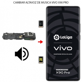 Cambiar Altavoz de Música Vivo X90 Pro
