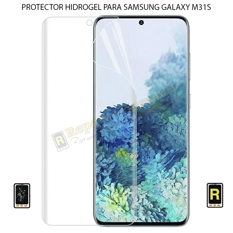Protector de Pantalla Hidrogel Samsung Galaxy M31s