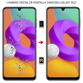 Cambiar Cristal de Pantalla Samsung Galaxy M22