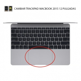 Cambiar Trackpad MacBook 12 2015