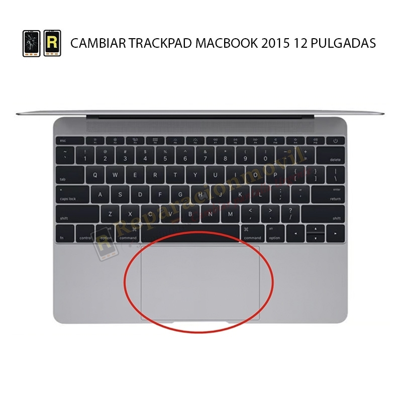 Cambiar Trackpad MacBook 12 2015