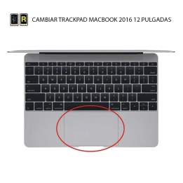Cambiar Trackpad MacBook 12 2016