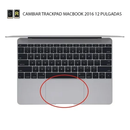Cambiar Trackpad MacBook 12 2016