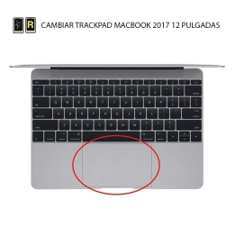 Cambiar Trackpad MacBook 12 2017