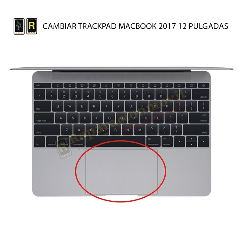 Cambiar Trackpad MacBook 12 2017