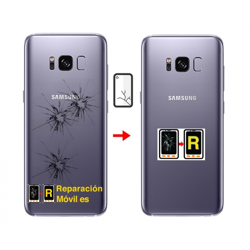 Cambiar Tapa Samsung s8 plus