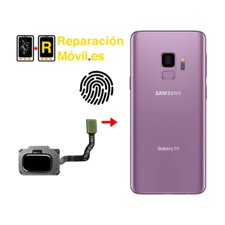 Cambiar Flex De Huella Samsung S9
