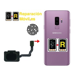 Cambiar Flex De Huella Samsung S9 Plus