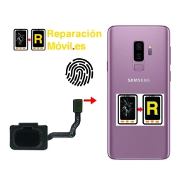 Cambiar Flex De Huella Samsung S9 Plus