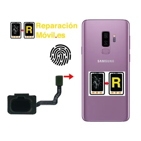 Cambiar Flex De Huella Samsung S9 Plus