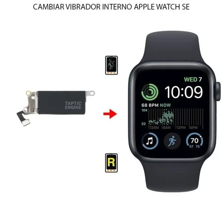 Cambiar Vibrador Apple Watch SE