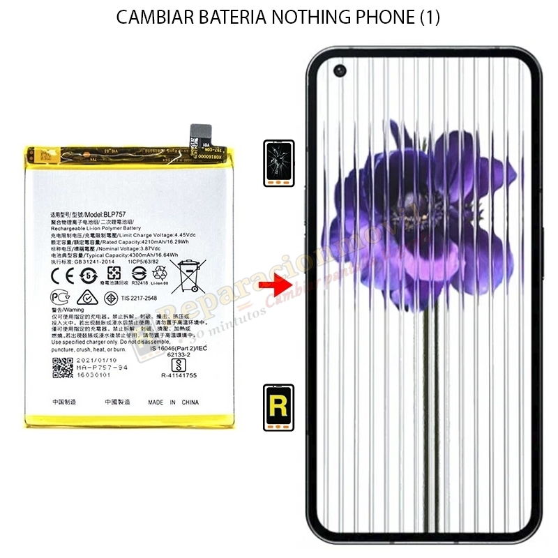 Cambiar Batería Nothing Phone (1)
