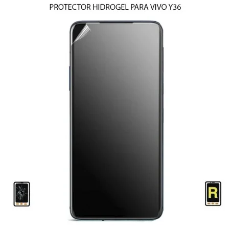 Protector de Pantalla Hidrogel Vivo Y36
