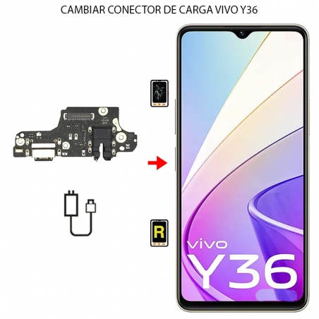 Cambiar Conector de Carga Vivo Y36