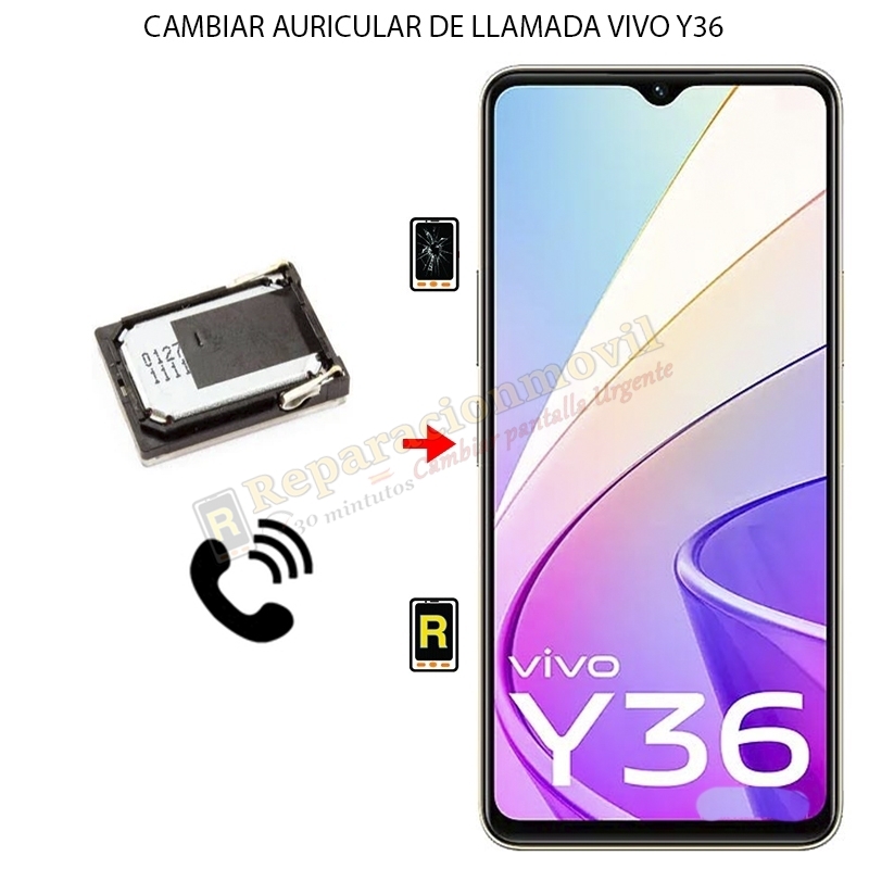Cambiar Auricular de Llamada Vivo Y36
