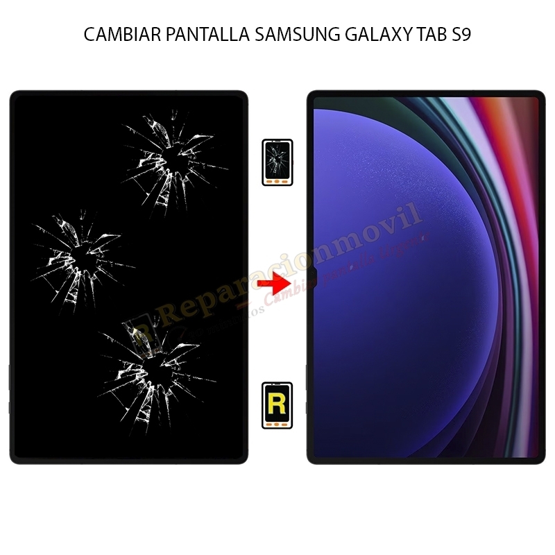 Cambiar Pantalla Samsung Galaxy Tab S9
